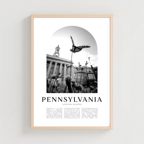 Pennsylvania Butterfly Flower Black White Photo United States Poster