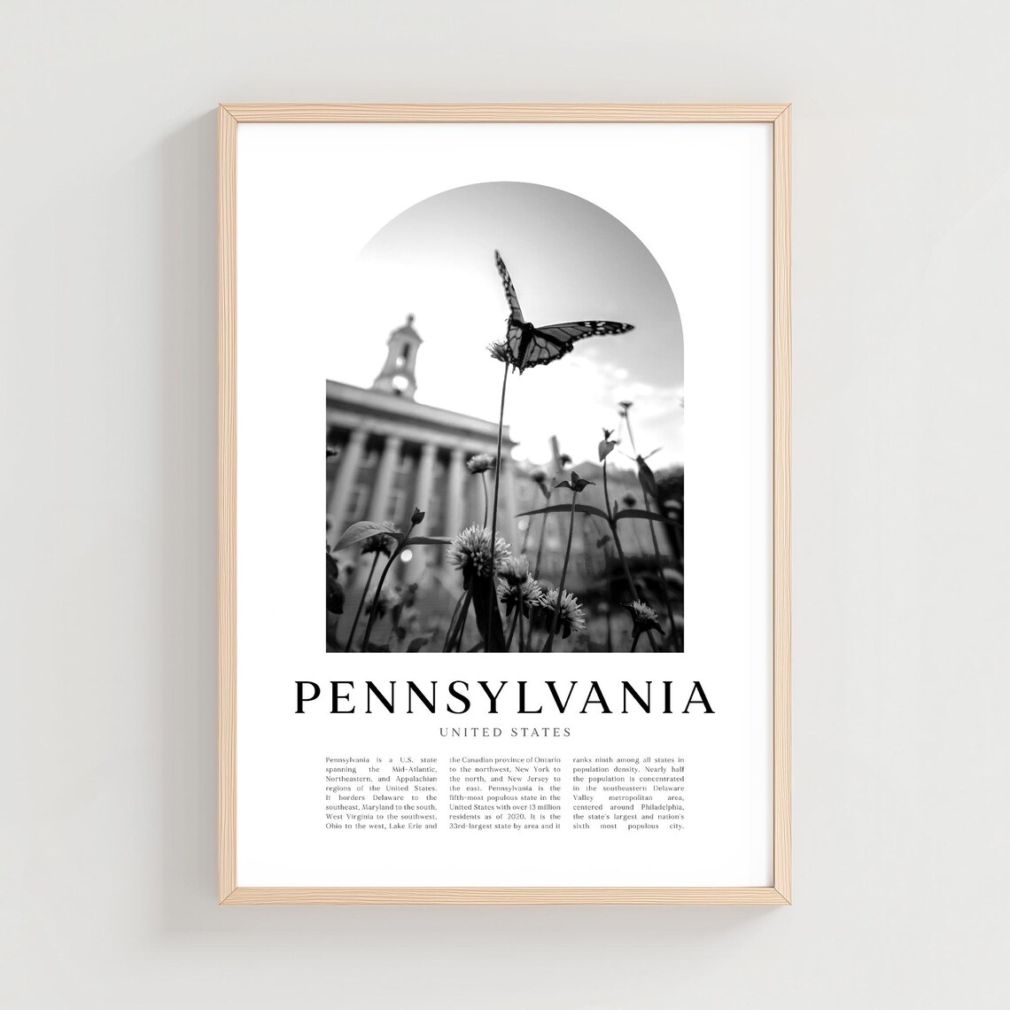Pennsylvania Butterfly Flower Black White Photo United States Poster