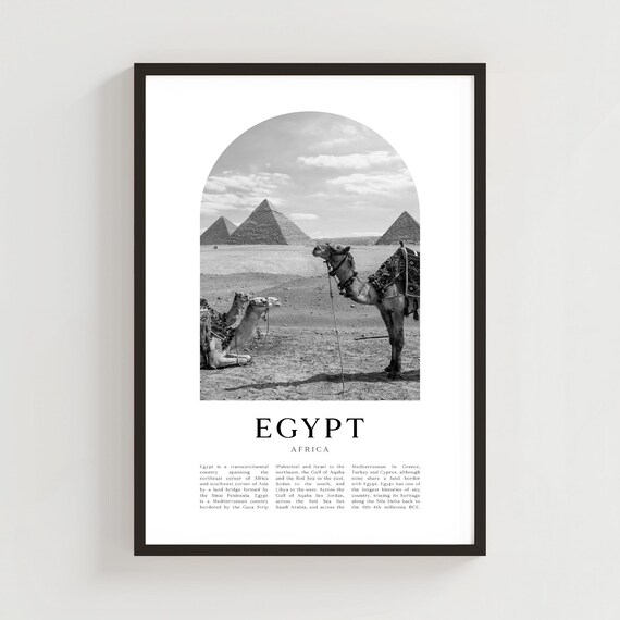 Egypt Africa Camels Giza Pyramids Black White Arch Photo Poster