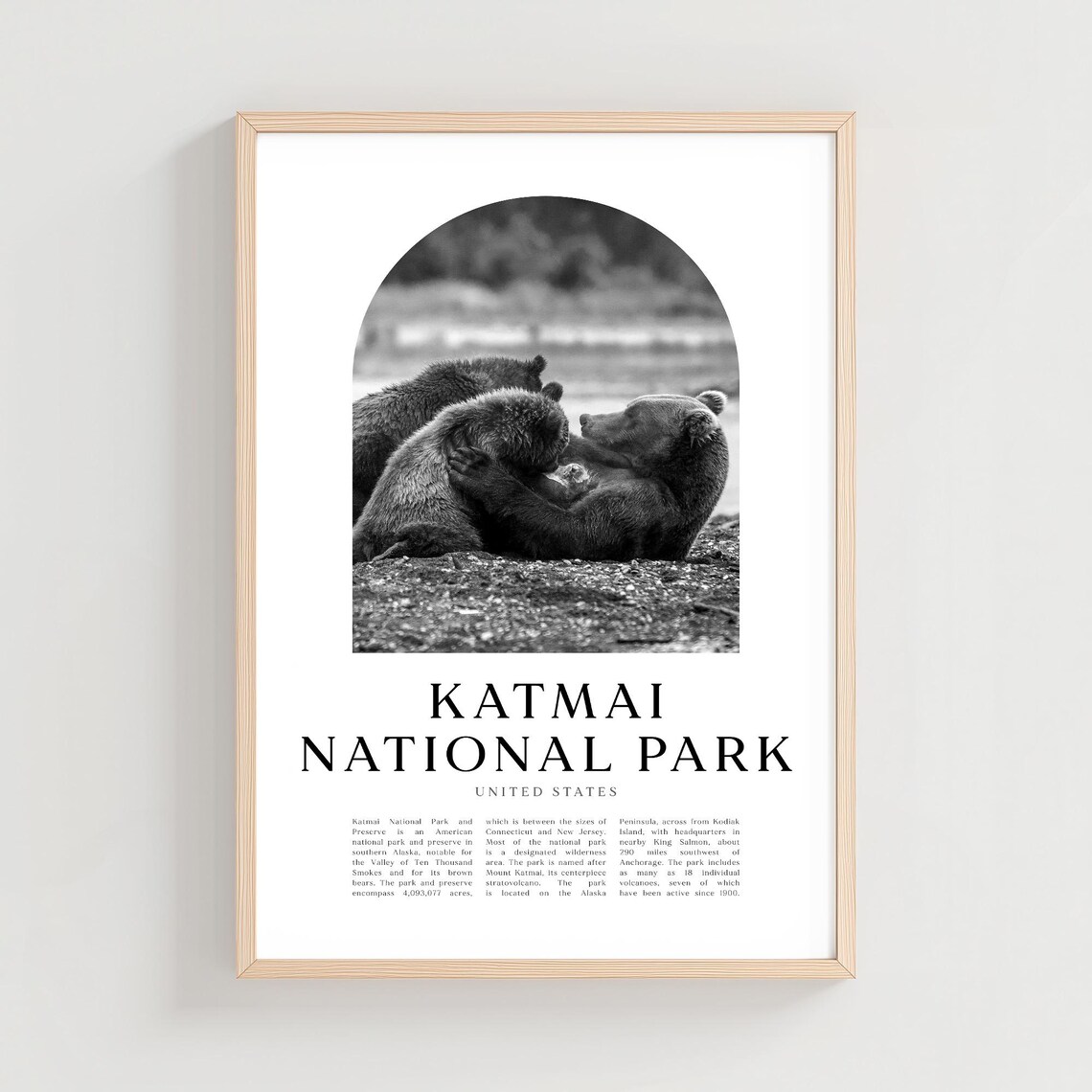 Katmai National Park Brown Bears Resting Black White Photo Poster