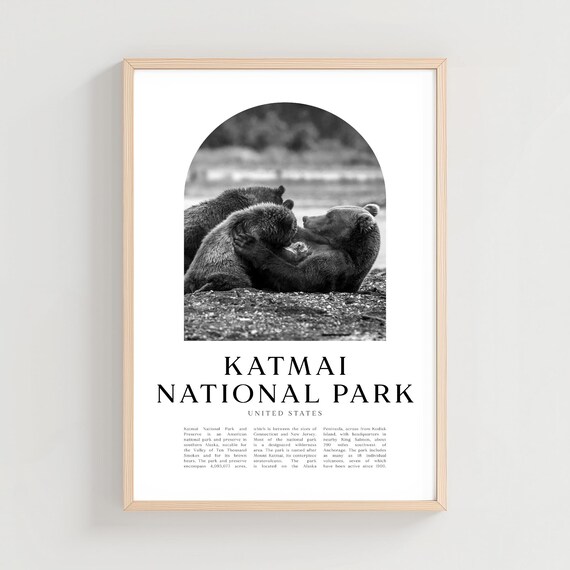 Katmai National Park Brown Bears Resting Black White Photo Poster