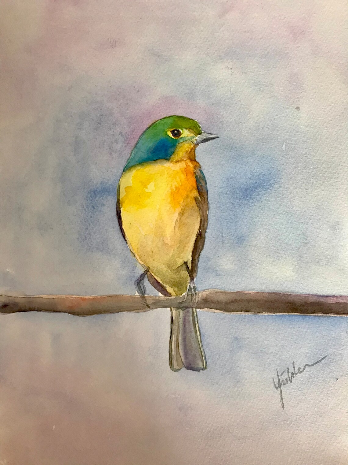 Green and Blue Songbird With Golden Breast Watercolor Art Poster