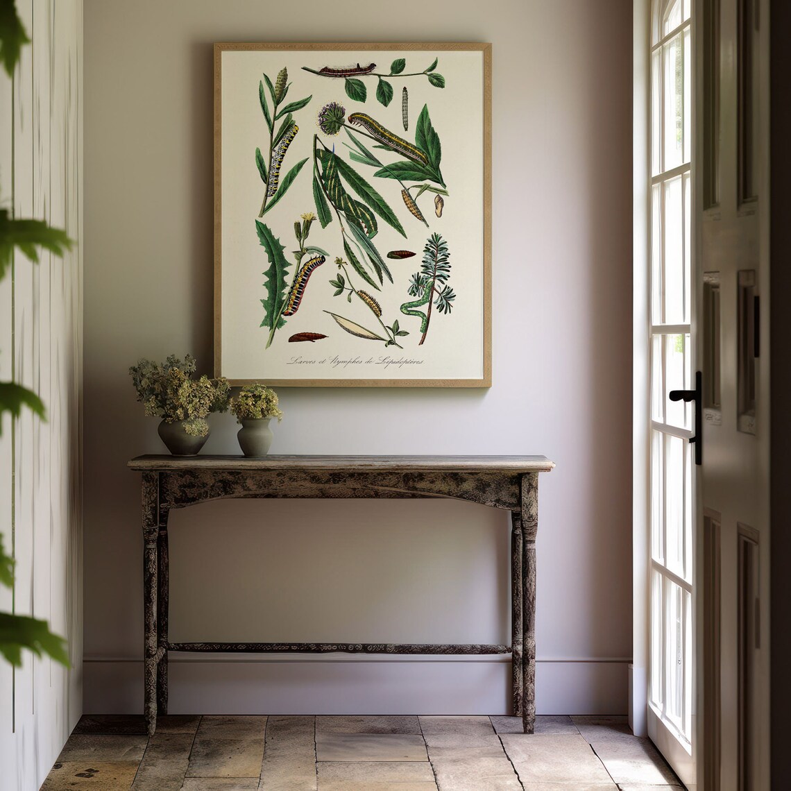 Vintage Caterpillar Entomology Plate Botanical Illustration Art Poster - Image 4
