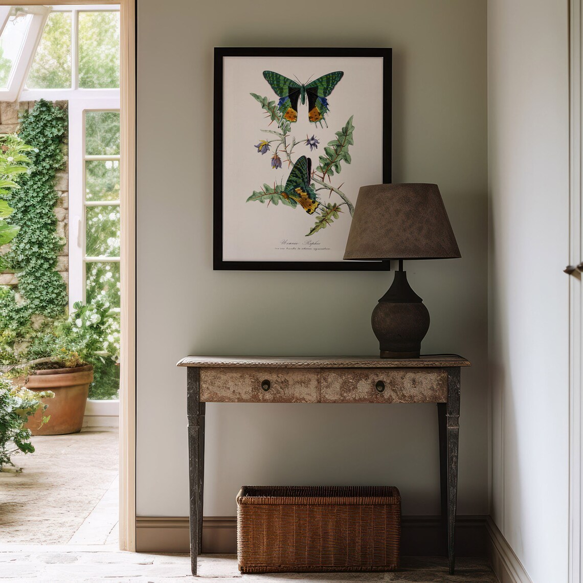 Vintage Butterfly Botanical Illustration Entomology Wall Poster - Image 5