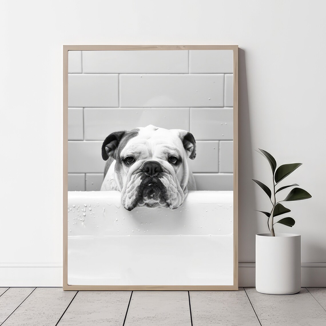 English Bulldog Resting Chin On Bathtub Black White Dog Poster