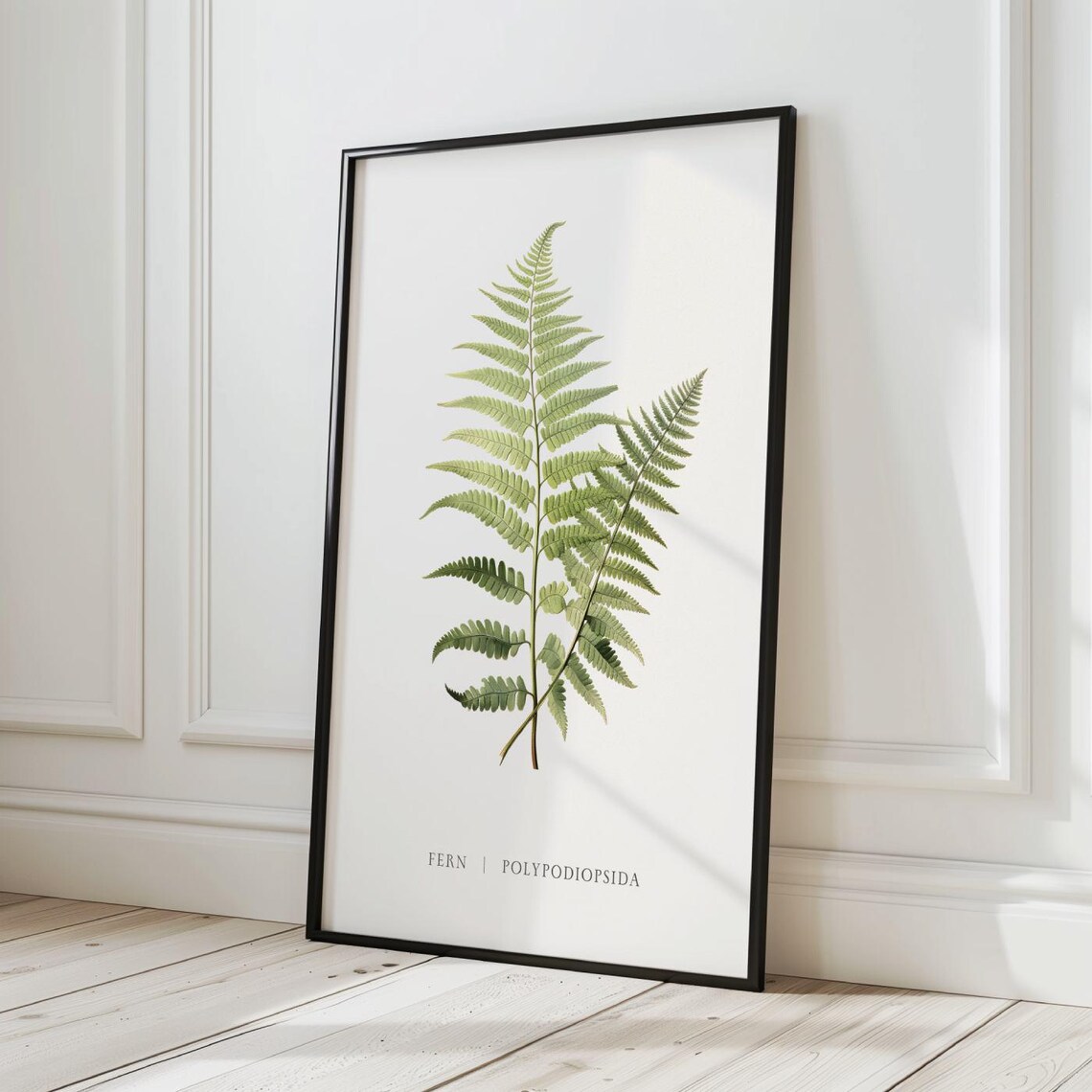 Vintage Botanical Fern Polypodiopsida Green Classic Decor Art Poster