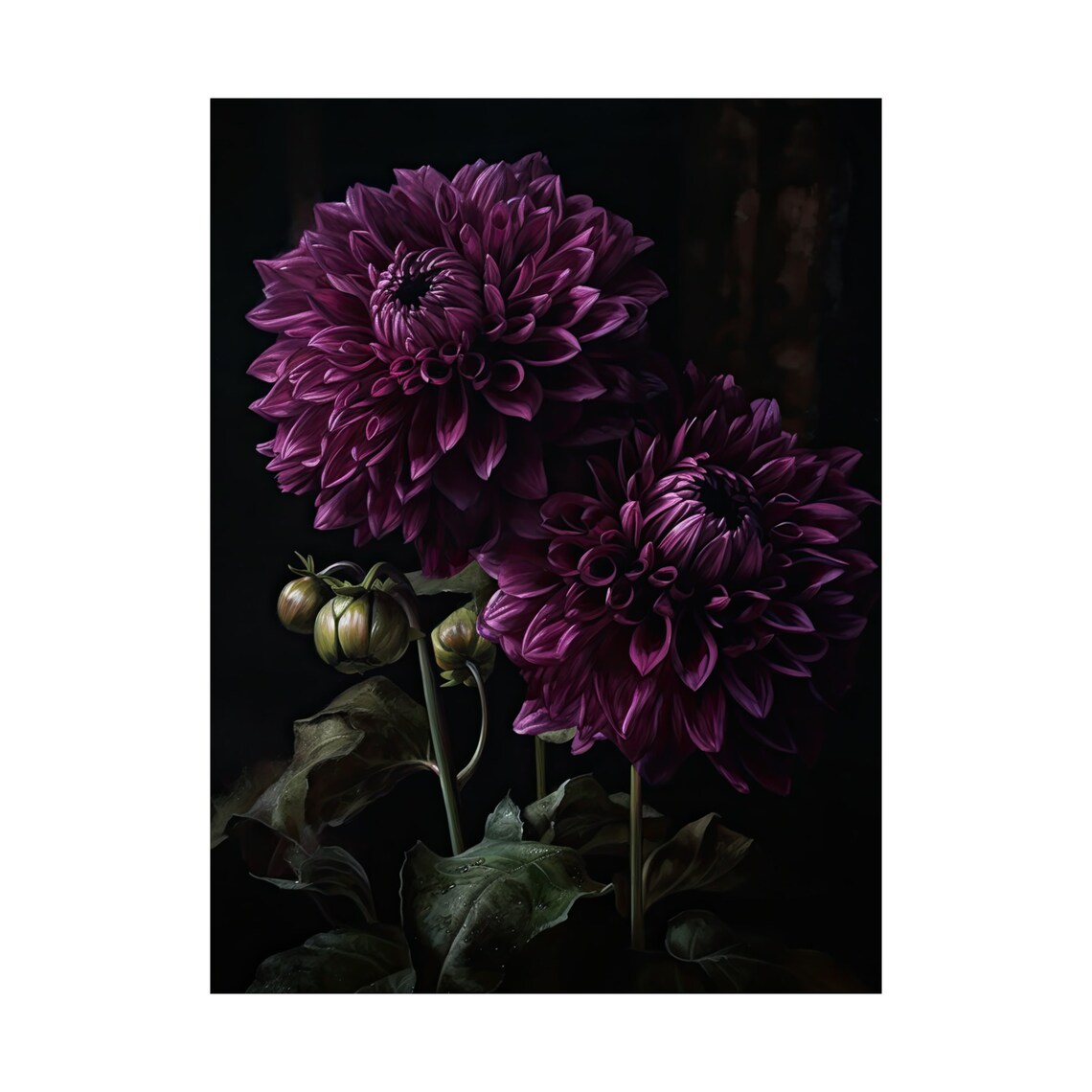 Purple Dahlia Blossoms Rich Velvet Petals Dark Botanical Art Poster - Image 4