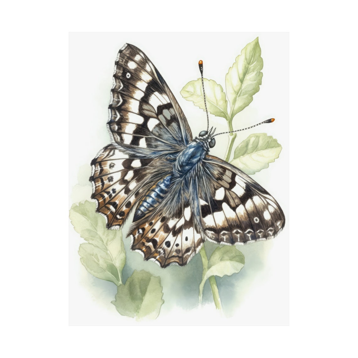 Checkered Butterfly Watercolor Art Print Brown White Patterned Wings - Image 4