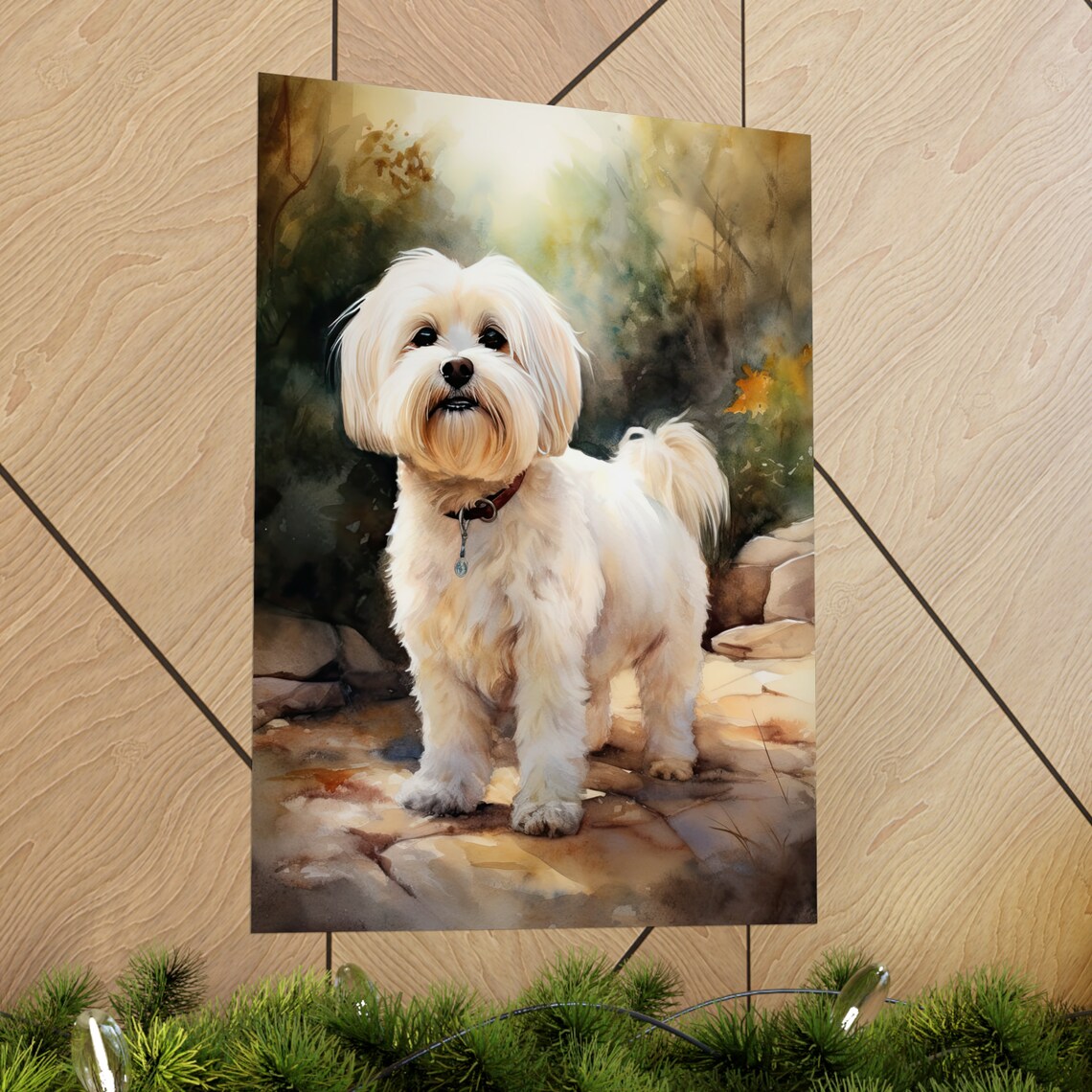 Coton De Tulear White Fluffy Dog On Stone Steps Watercolor Poster - Image 2