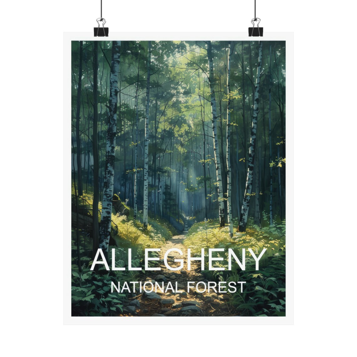 Allegheny National Forest Birch Trail Sunbeam Woodland Travel Poster - Image 4