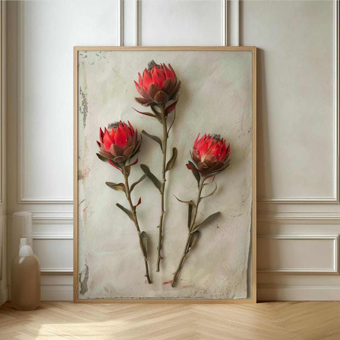 Three Red King Protea Stems On Textured White Rustic Art Print