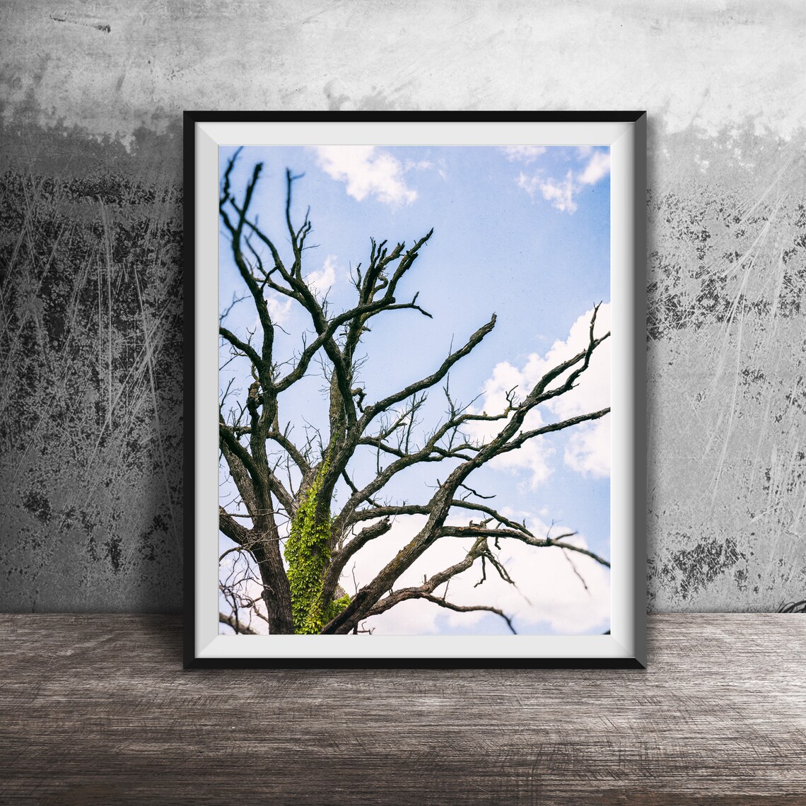 Dead Tree Branches Nature Landscape, Forest Trees