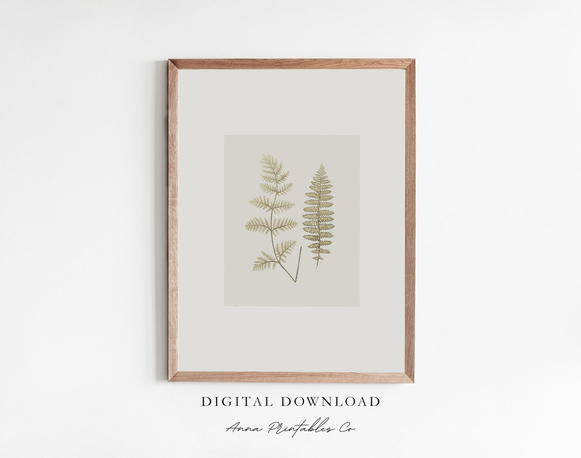 Vintage Pressed Fern Botanical Study Minimal Green Plant Poster