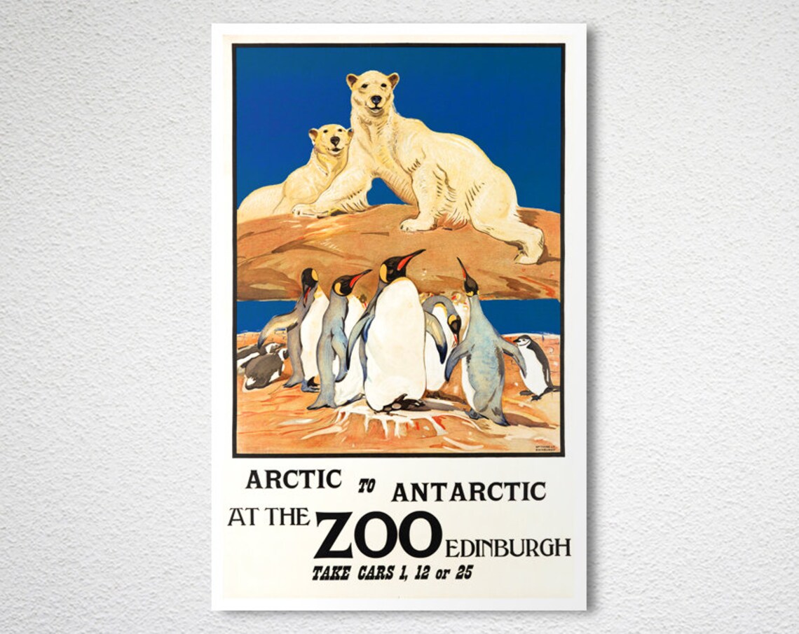 Arctic to Antarctic at the Zoo Edinburgh Travel Poster - Image 2