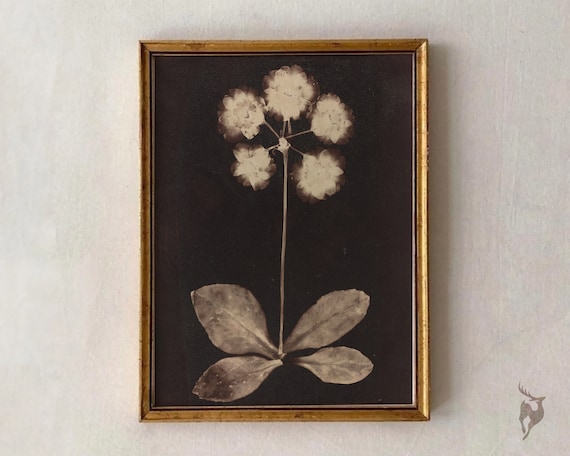 Dark Botanical Print Floral Moody Wall Art Witchy Gothic Academia Decor Vampire