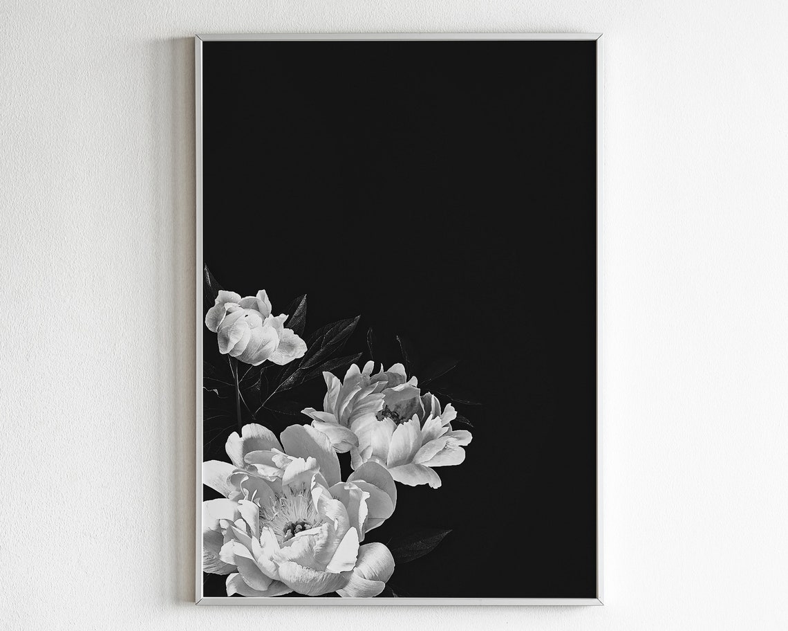 Black and White Peonies Fine Art Photograph Moody Floral Poster