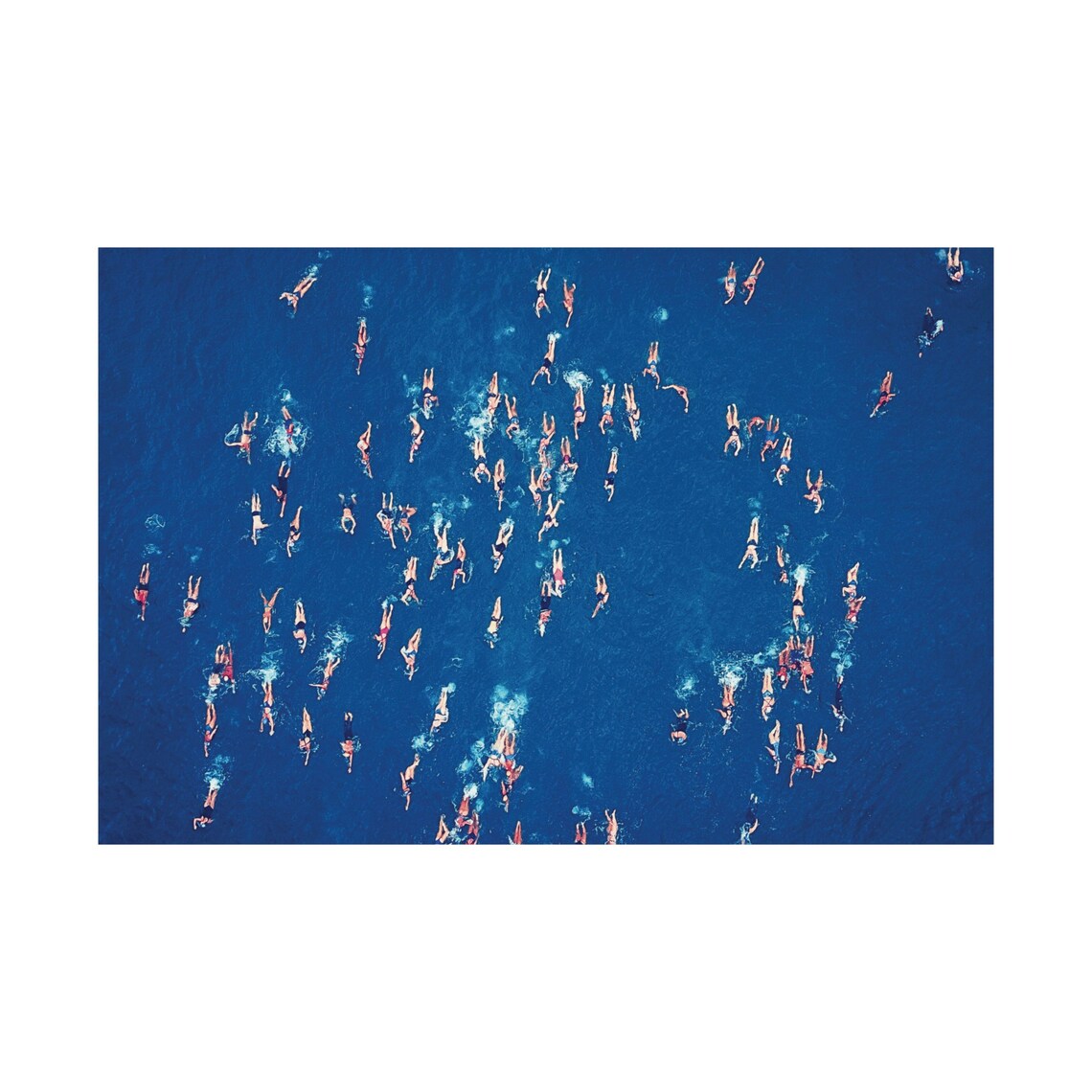 Ocean Swimmers Photography Print, Abstract Aerial