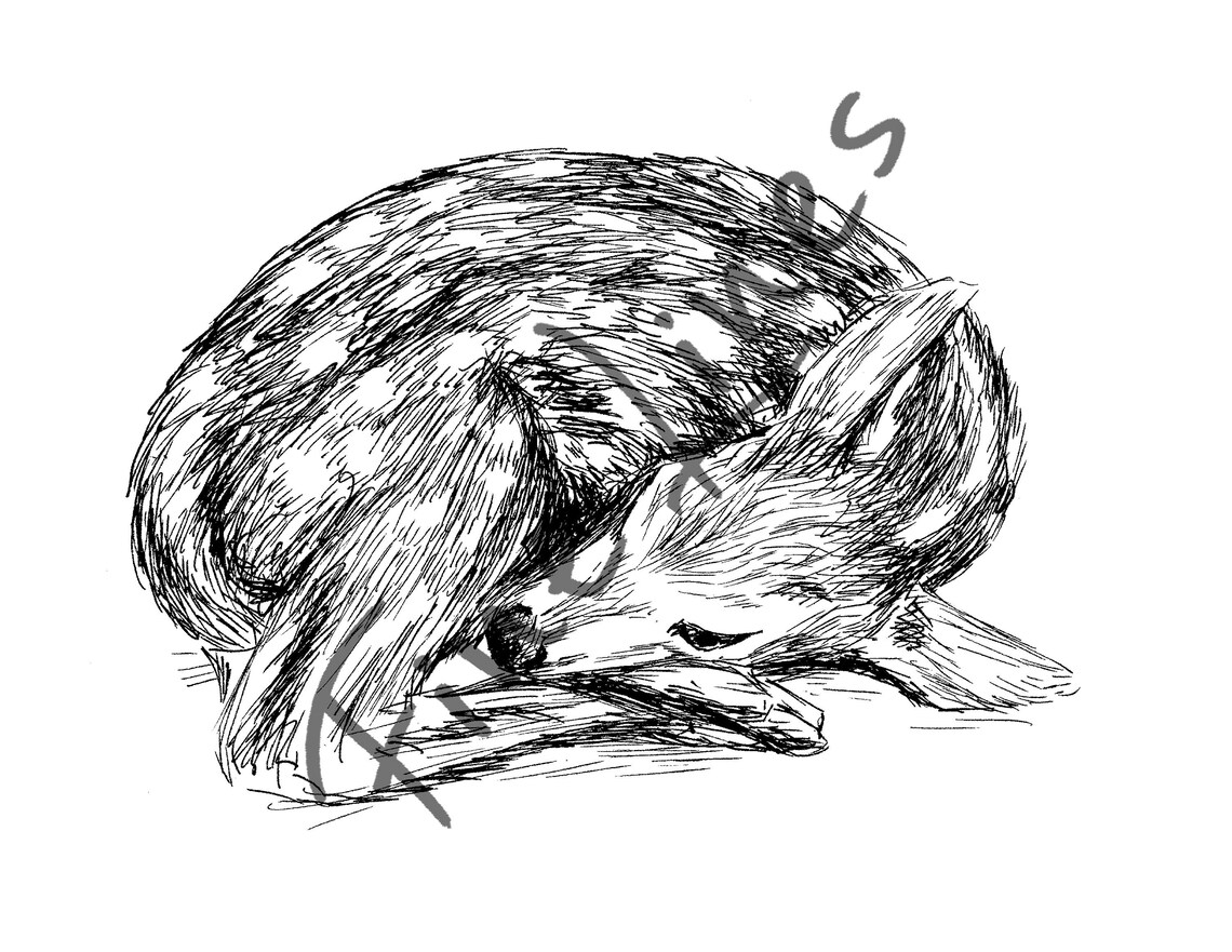 Sleeping Fawn Ink Sketch Baby Deer Nursery Woodland Art Poster - Image 2