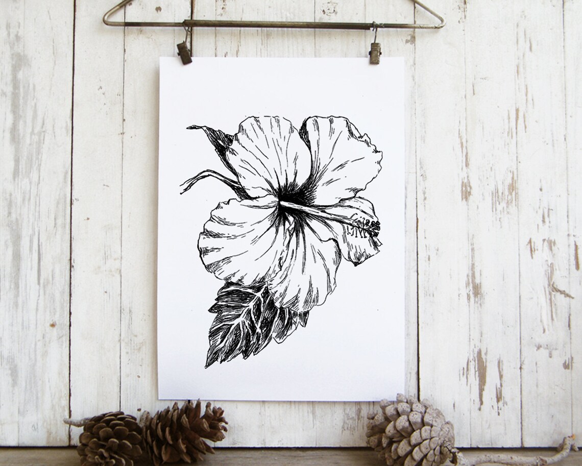 Black And White Hibiscus Botanical Art Print - Image 3