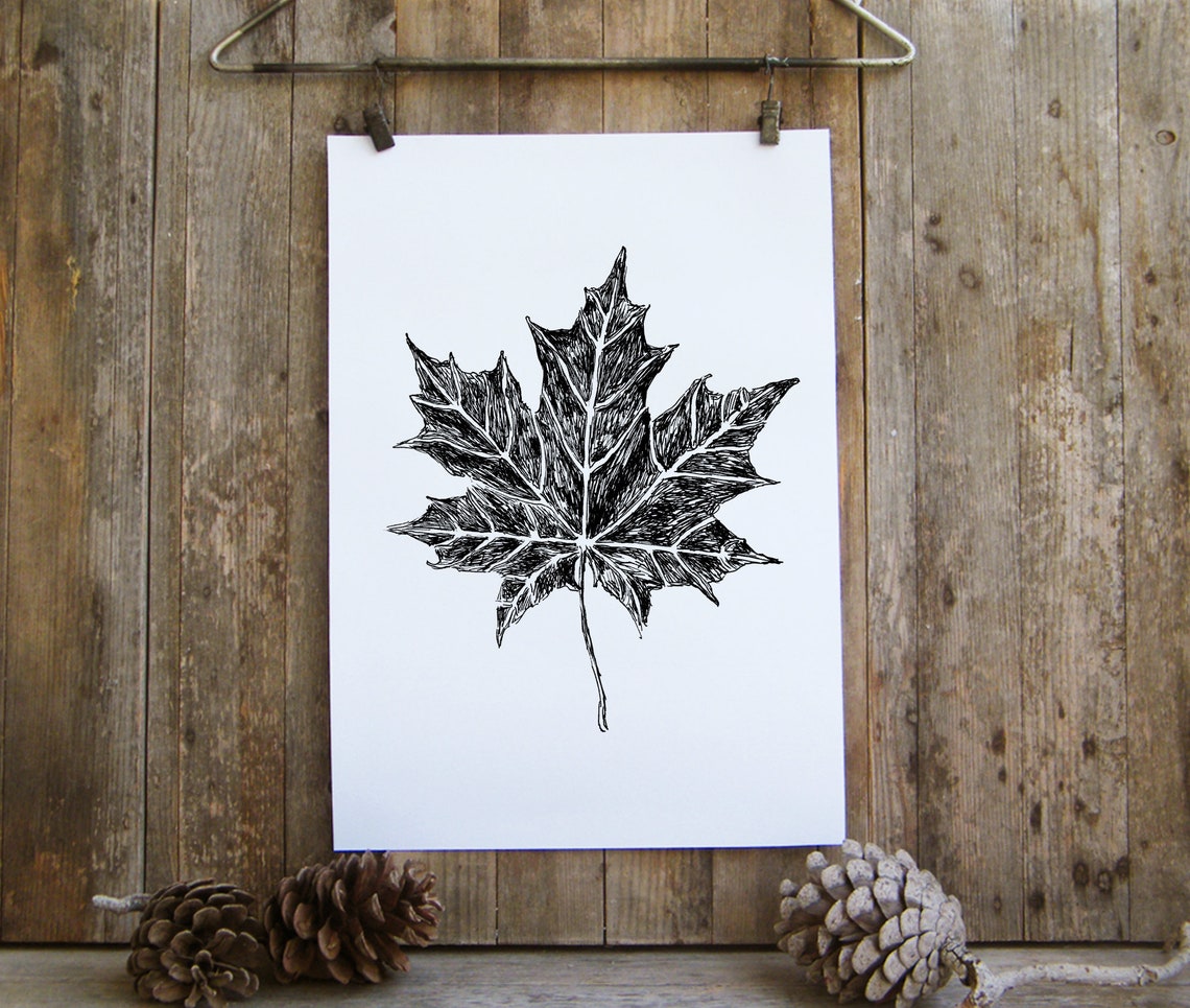 Maple Leaf Ink Sketch Black White Autumn Botanical Line Art Print - Image 3