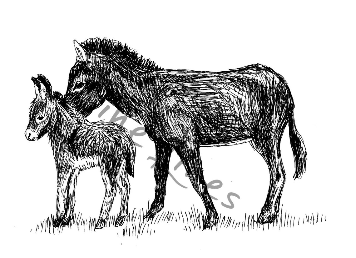 Donkey Wall Art Print Nursery Donkey Print Gift For Family - Image 2