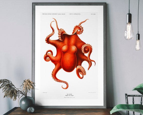 Vintage Octopus Art Print, Antique Ocean Diagram