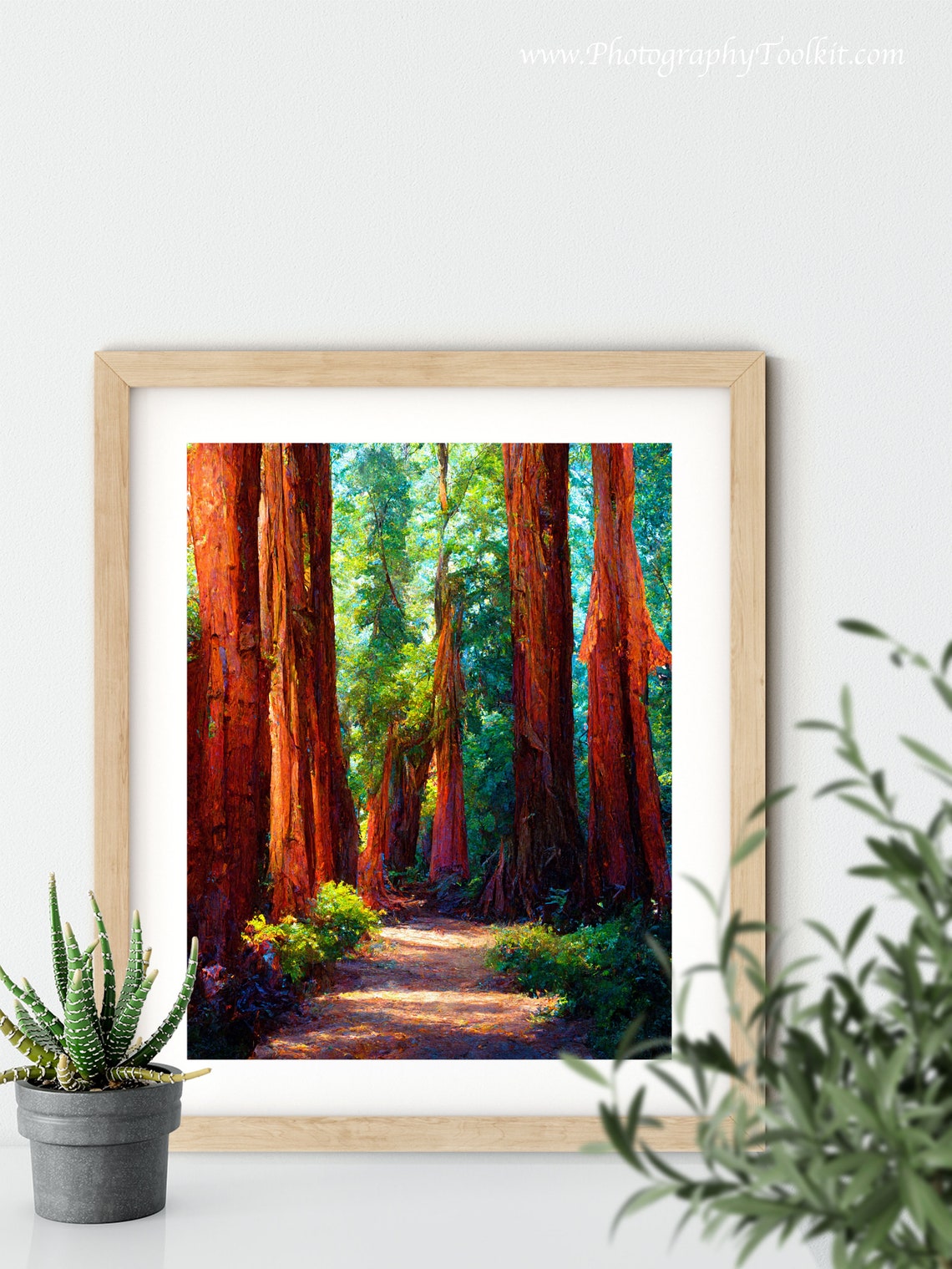 Redwood Tree Wall Art Redwood National Park Travel Poster Vintage Travel Print Poster Eureka California Redwood Forest Print State Park - Image 5