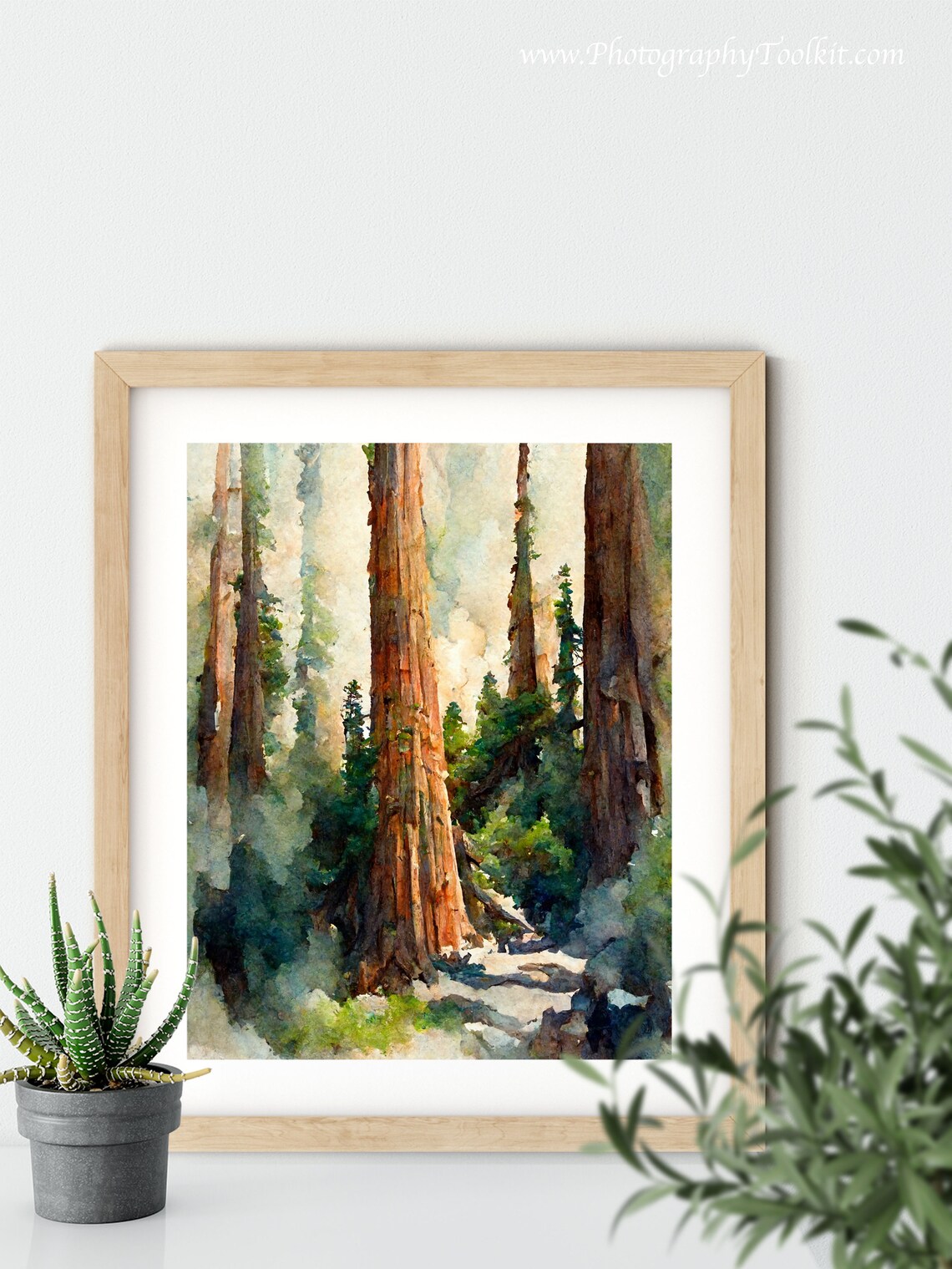 Sequoia National Park Mountain Art Print - Image 5