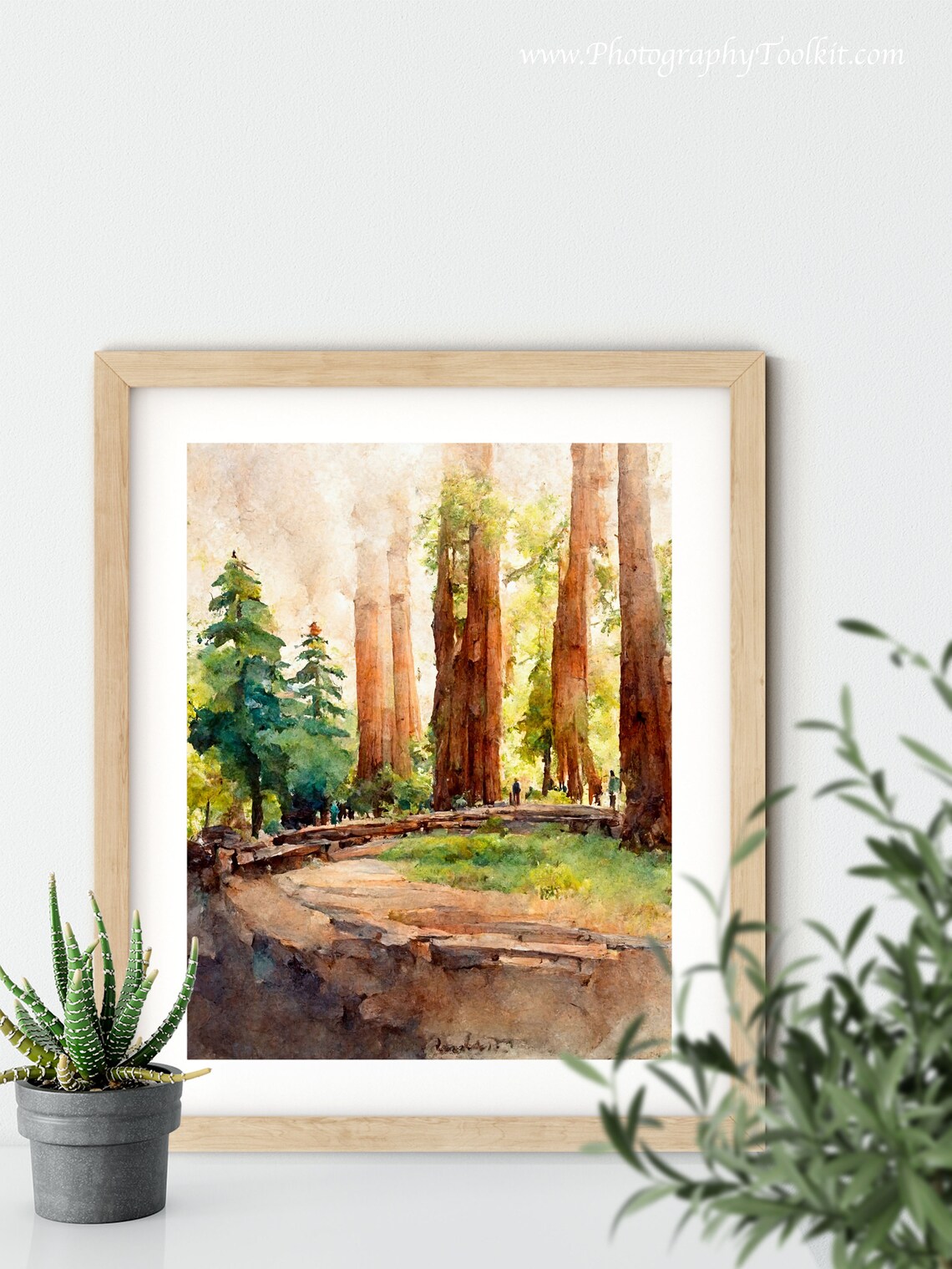 Redwood National Park Vintage Travel Poster Art Print - Image 5