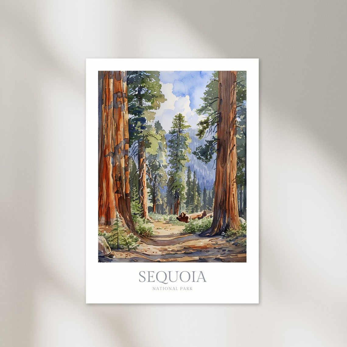 Sequoia National Park Towering Redwood Trees Forest Watercolor Poster