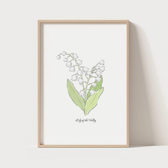 Lily Of The Valley Flower Print Botanical Illustration Modern Home Decor