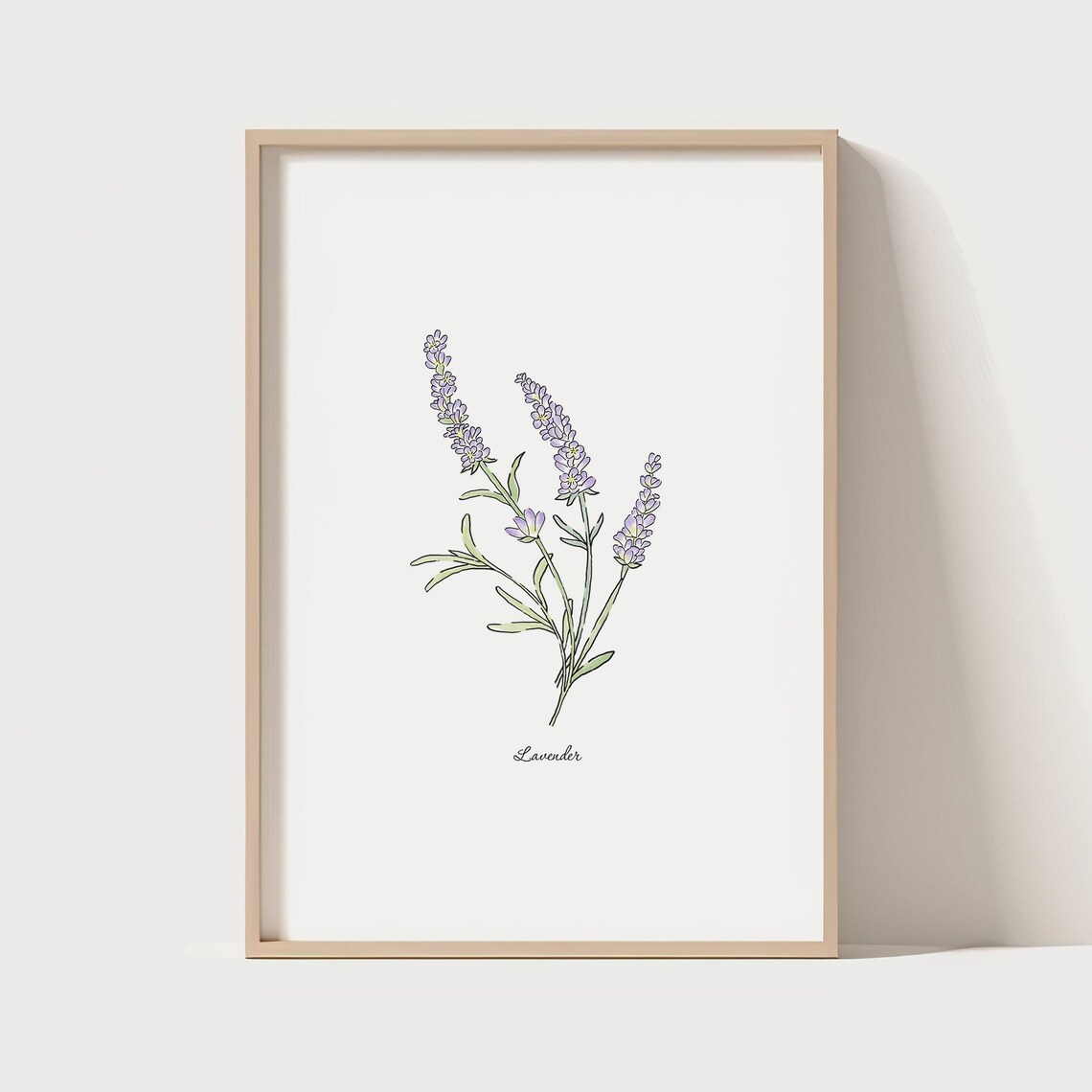 Lavender Flower Print, Minimalist Botanical Illustration
