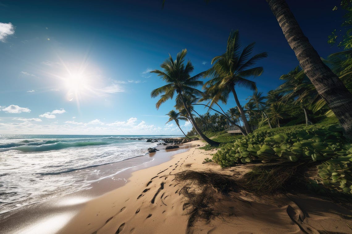 Tropical Palm Beach With Footsteps Along a Sunny Shore Poster