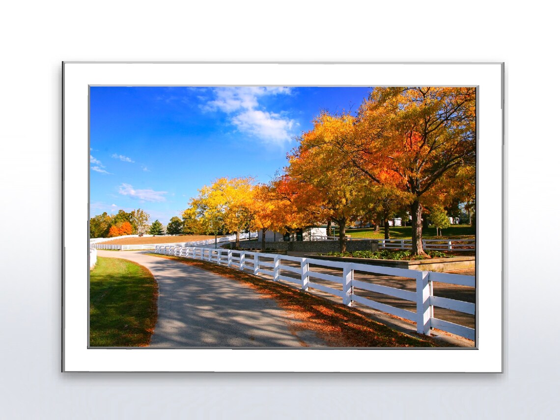 White Fence Horse Farm Lane with Golden Autumn Trees Photo Poster