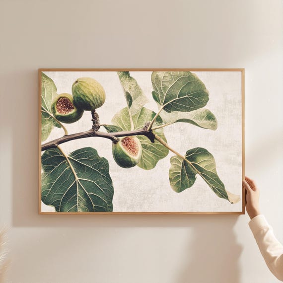 Vintage Fig Botanical Print Kitchen Dining Room Wall Art