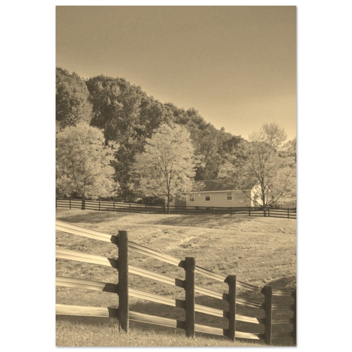 Saratoga New York Sepia Farm Fence Pasture Countryside Poster