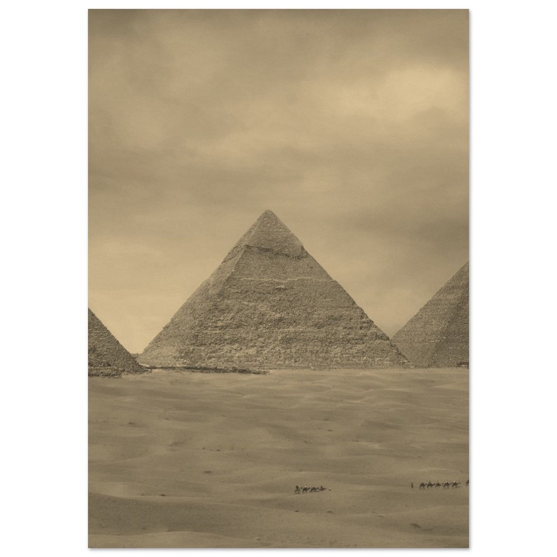 Giza Pyramids Egypt Vintage Sepia Desert Camel Travel Poster
