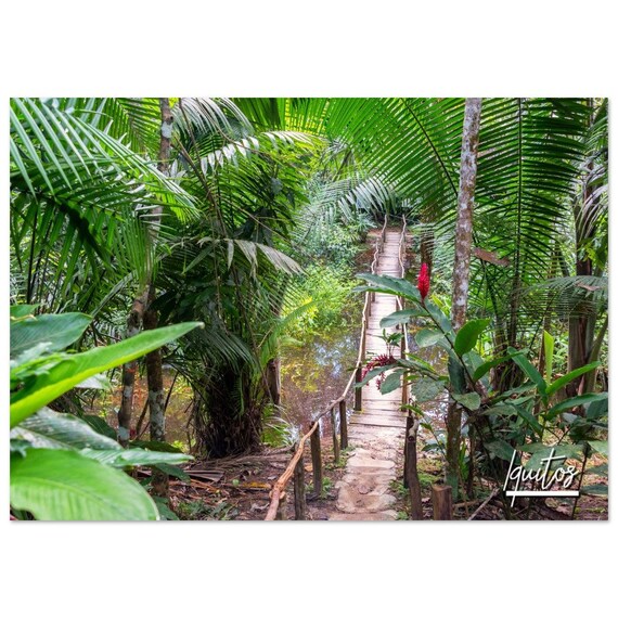 Iquitos Peru Amazon Rainforest Jungle Bridge Travel Poster Photo