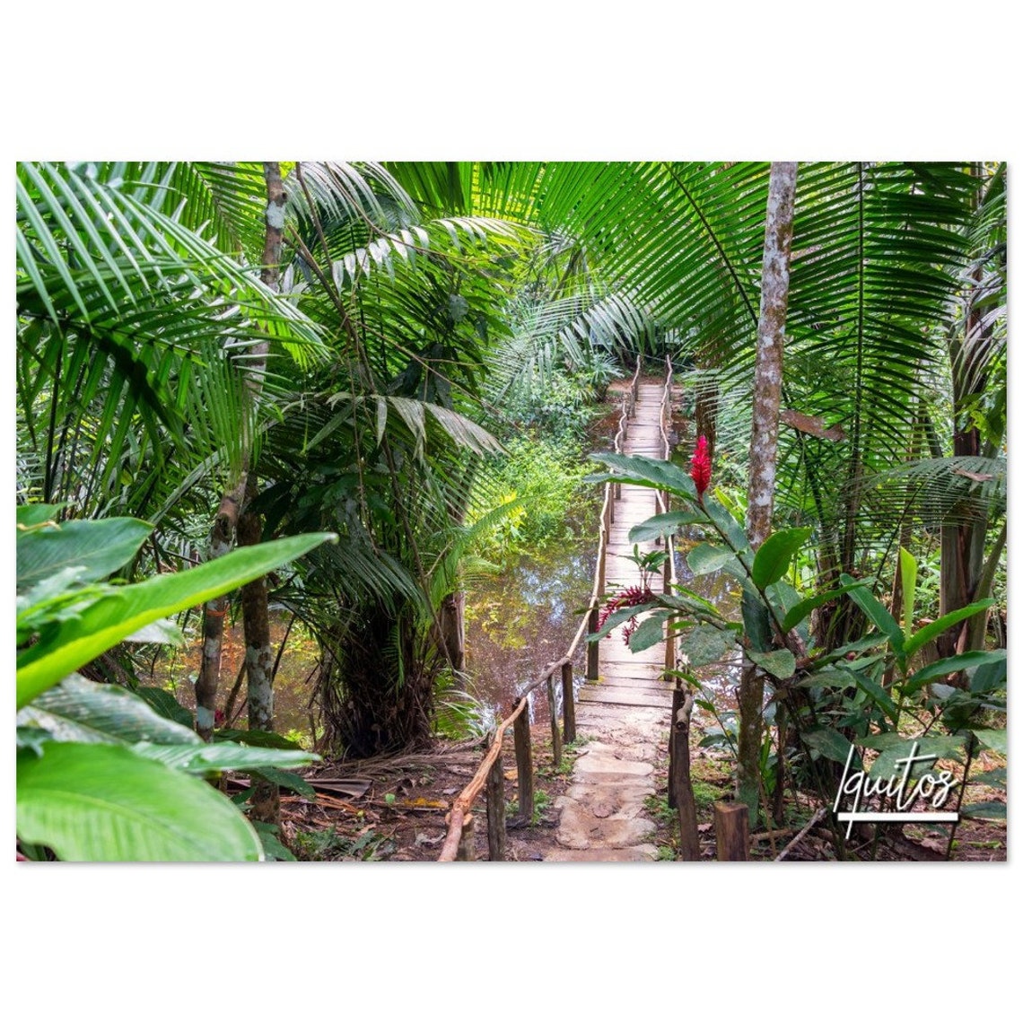 Iquitos Peru Poster Print Rainforest Jungle Photography