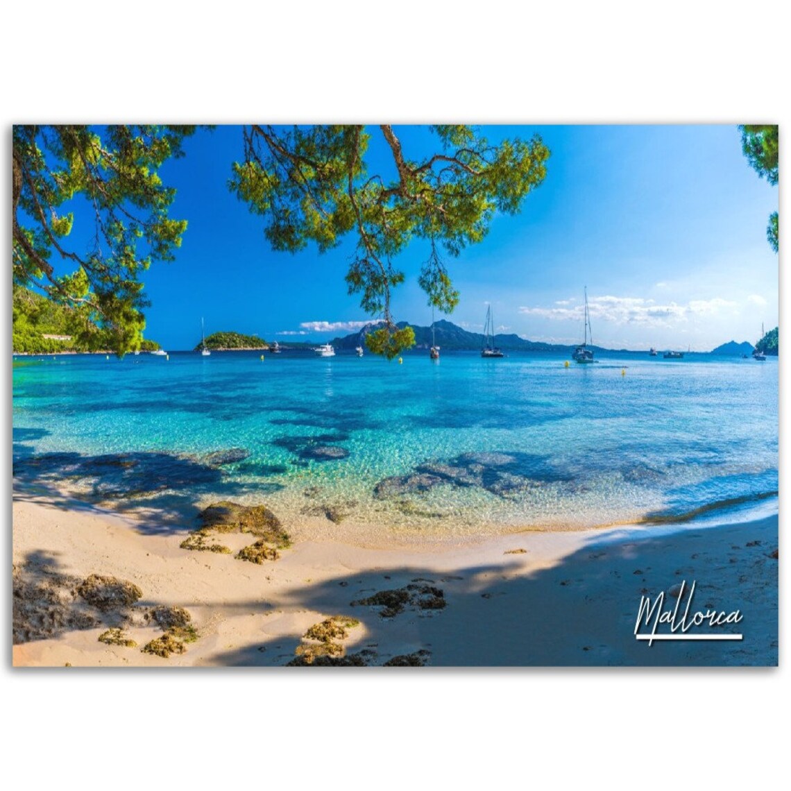 Mallorca Spain Turquoise Beach Sailboats Pine Trees Photo Poster