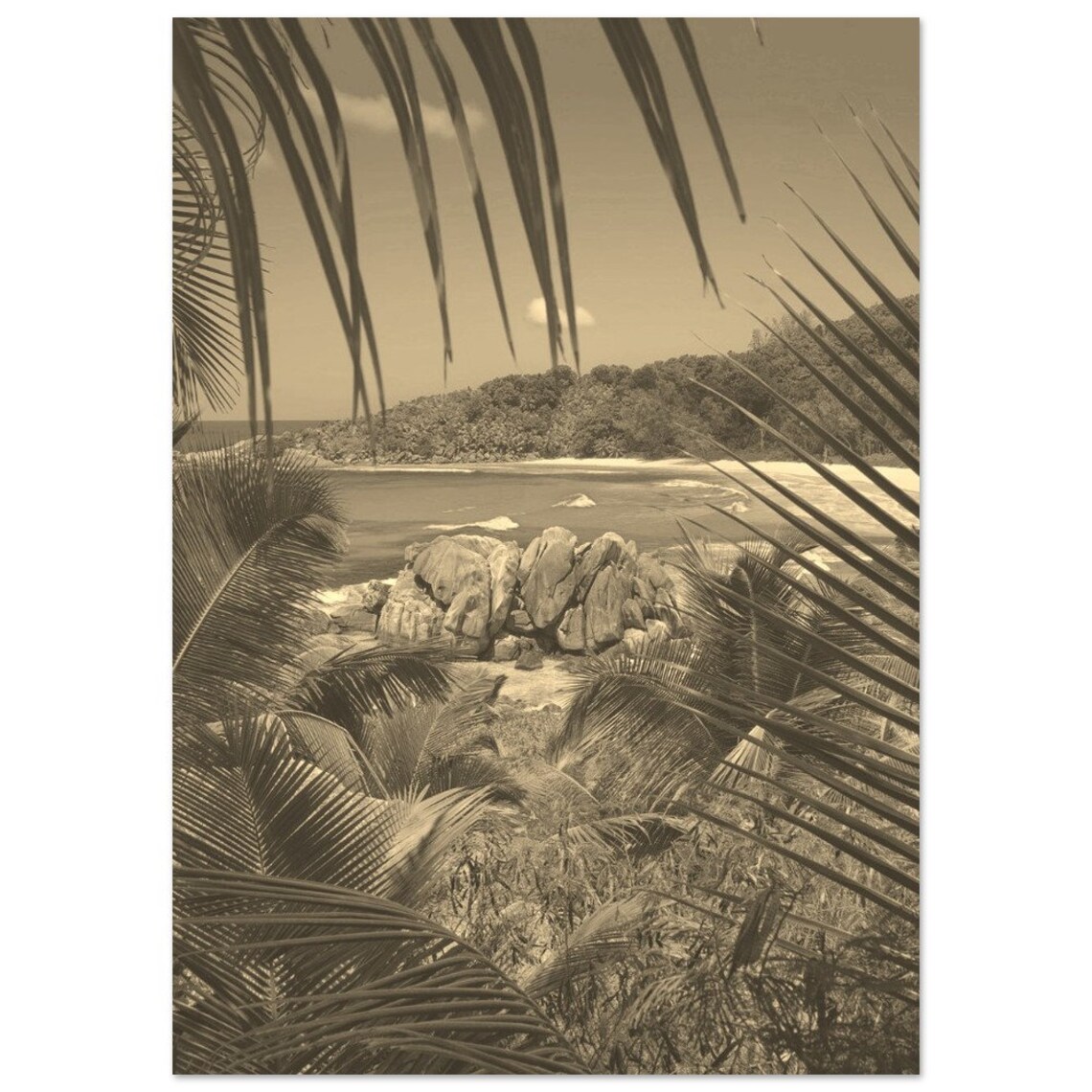 Tropical Beach Palm Fronds Granite Rocks Sepia Island Photo Poster