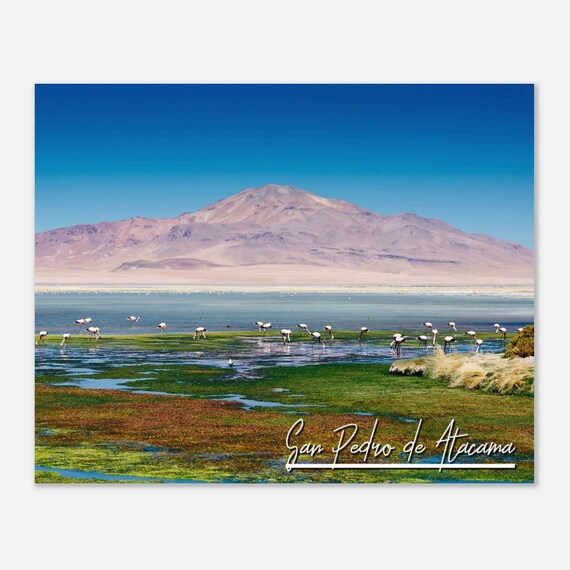 San Pedro de Atacama Travel Poster with Flamingo Lagoon Mountain