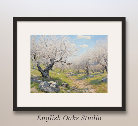 Sunny White Blossom Orchard Trees Along Rocky Path Spring Poster