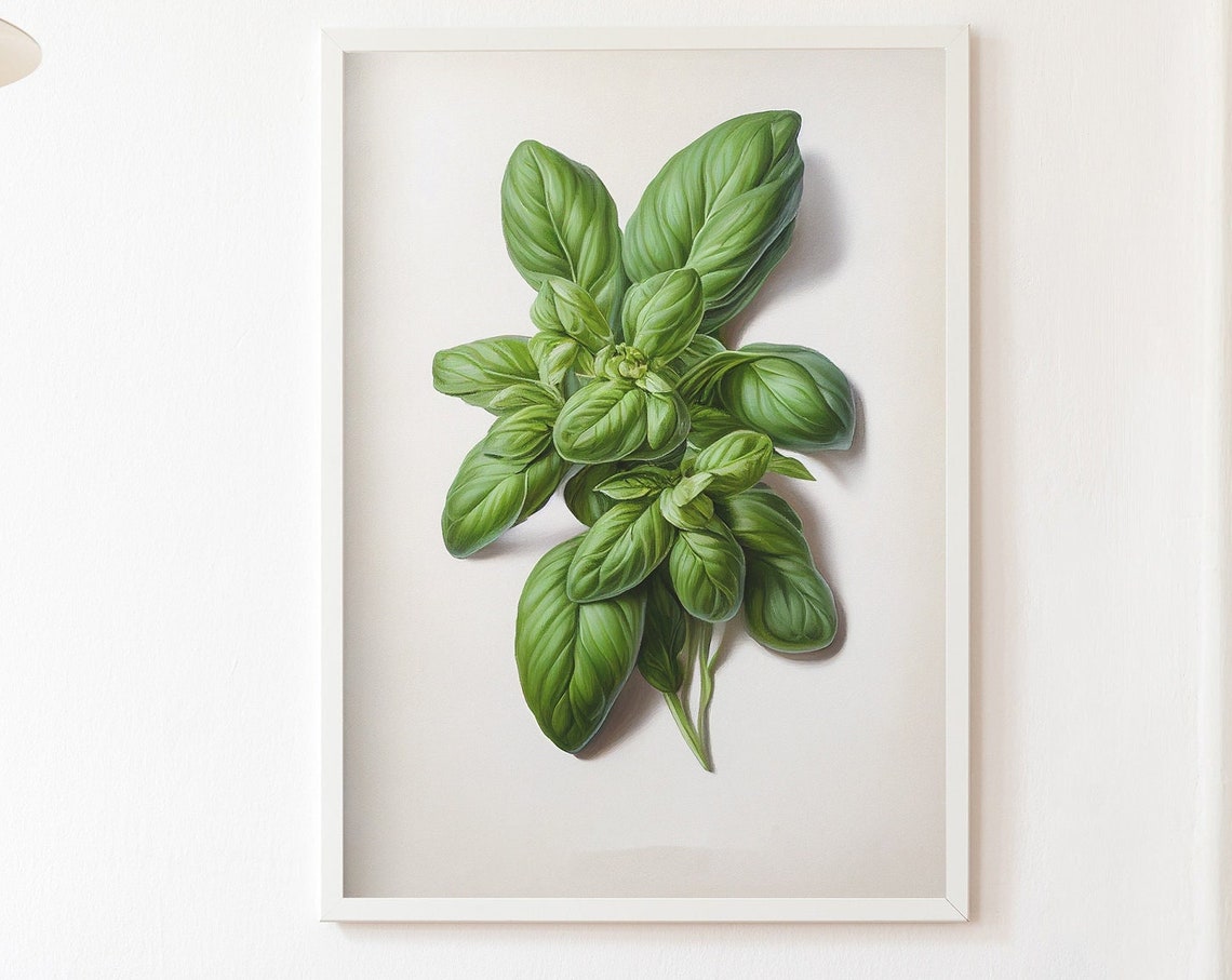 Fresh Basil Leaves Botanical Oil Painting Style Kitchen Poster