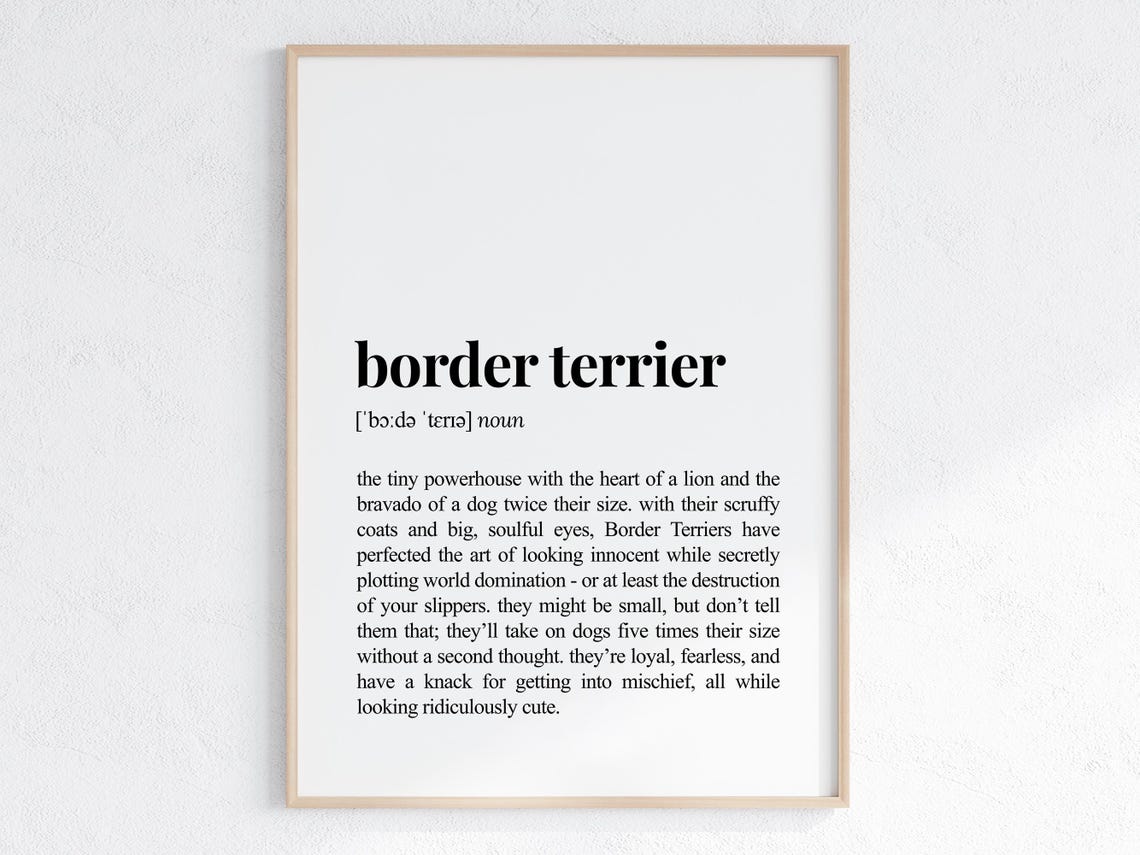Border Terrier Funny Definition Typography Black White Poster Gift