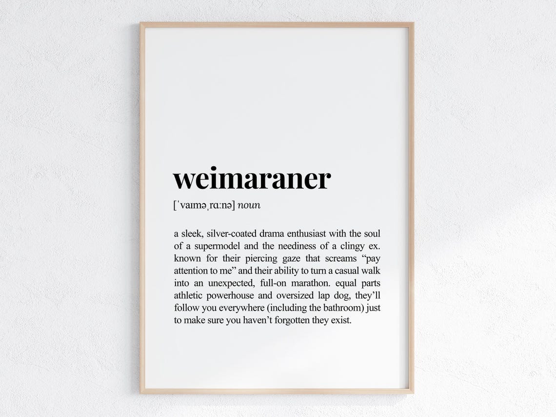 Weimaraner Funny Dictionary Definition Silver Dog Breed Gift Poster