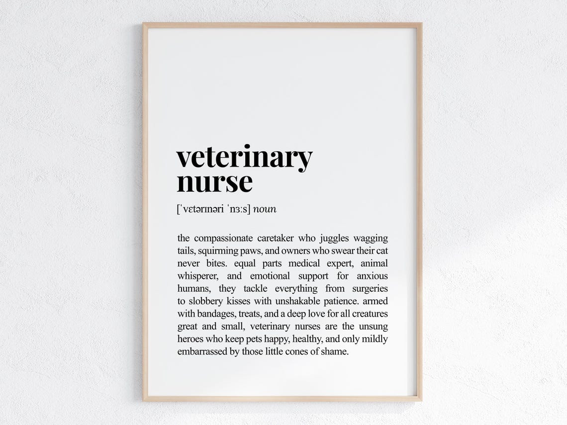 Veterinary Nurse Funny Definition Art Print, Office Poster