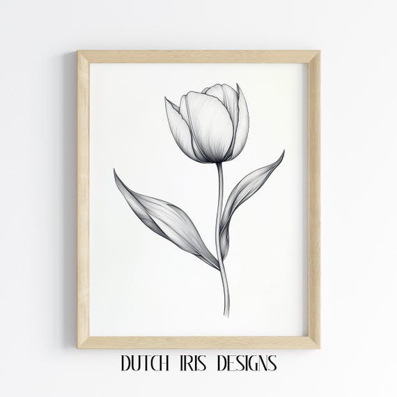 Elegant Black Line Tulip Drawing Minimalist Wall Art Bold Flower Sketch Modern Botanical Decor Simple Floral Print 506