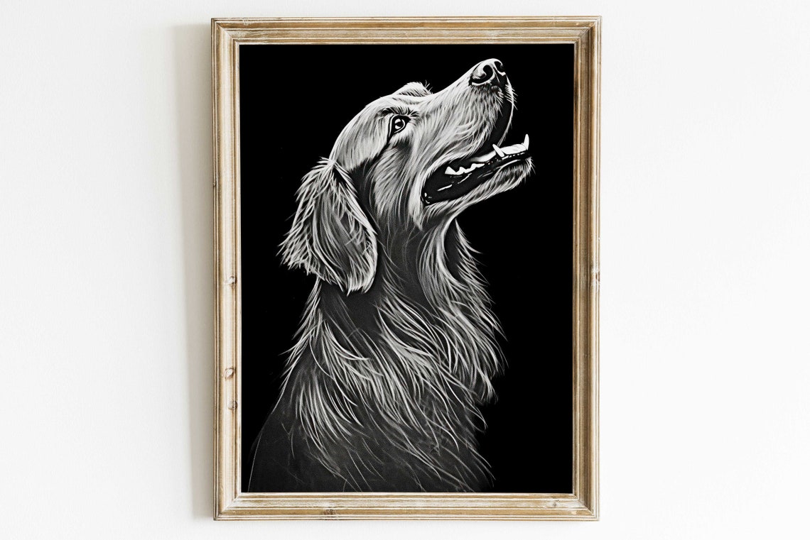 Golden Retriever White Chalk Portrait Black Background Poster
