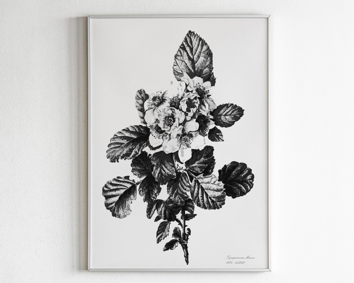 Black and White Vintage Floral Botanical Illustration Poster
